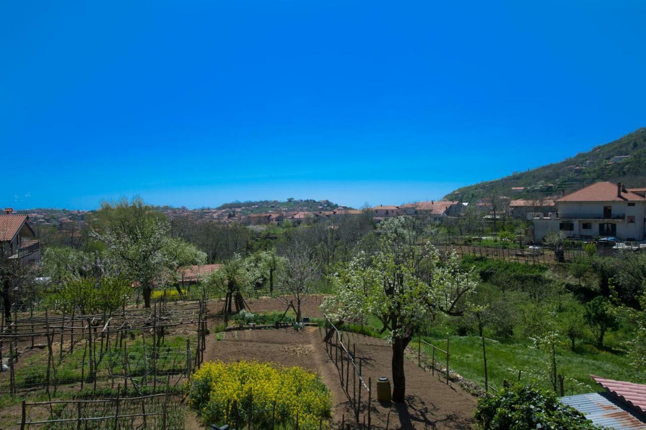 Villa Al Cortile Di Nonno Luigi Agerola Exterior foto